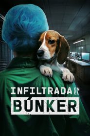 Infiltrada en el búnker