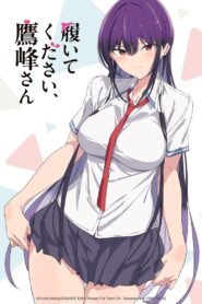 Haite Kudasai, Takamine-san Sin Censura, Please Put Them On, Por favor pontelos – Sub Español