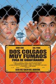 Harold y Kumar 2: Dos Tontos en Fuga