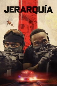 Hierarchy – Jerarquía