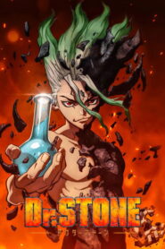 Dr. Stone